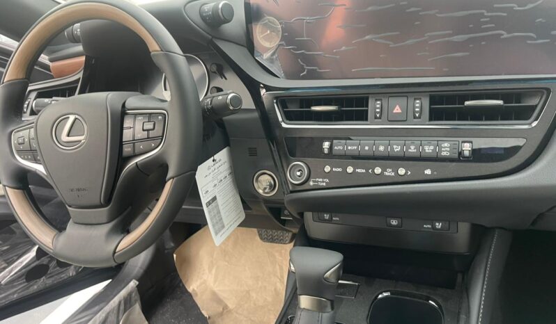 								New Lexus ES 300 full									