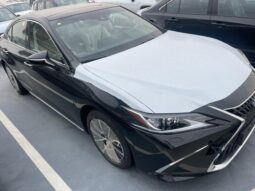 										New Lexus ES 300 full									
